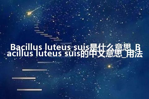 Bacillus luteus suis是什么意思_Bacillus luteus suis的中文意思_用法