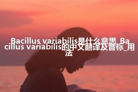 Bacillus variabilis是什么意思_Bacillus variabilis的中文翻译及音标_用法