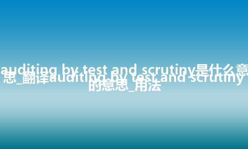 auditing by test and scrutiny是什么意思_翻译auditing by test and scrutiny的意思_用法