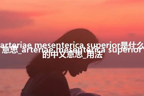 arteriae mesenterica superior是什么意思_arteriae mesenterica superior的中文意思_用法