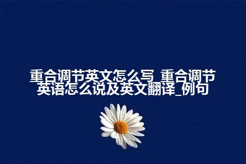 重合调节英文怎么写_重合调节英语怎么说及英文翻译_例句