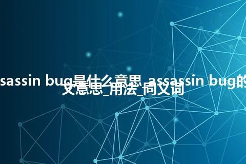 assassin bug是什么意思_assassin bug的中文意思_用法_同义词