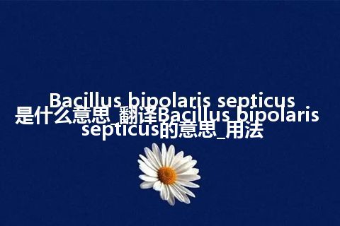 Bacillus bipolaris septicus是什么意思_翻译Bacillus bipolaris septicus的意思_用法