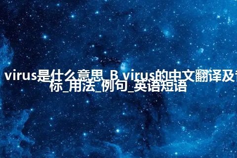 B virus是什么意思_B virus的中文翻译及音标_用法_例句_英语短语