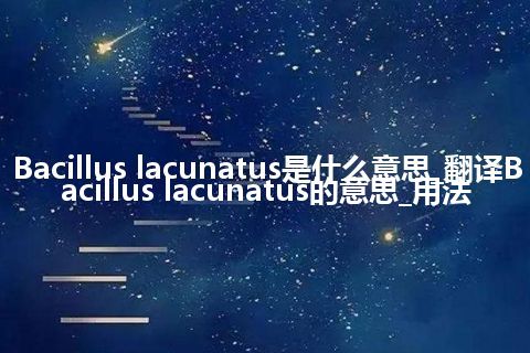 Bacillus lacunatus是什么意思_翻译Bacillus lacunatus的意思_用法