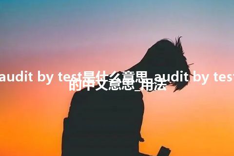 audit by test是什么意思_audit by test的中文意思_用法