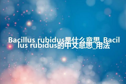 Bacillus rubidus是什么意思_Bacillus rubidus的中文意思_用法