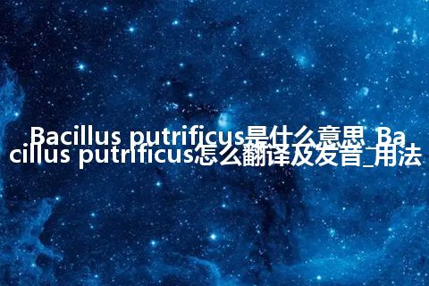 Bacillus putrificus是什么意思_Bacillus putrificus怎么翻译及发音_用法