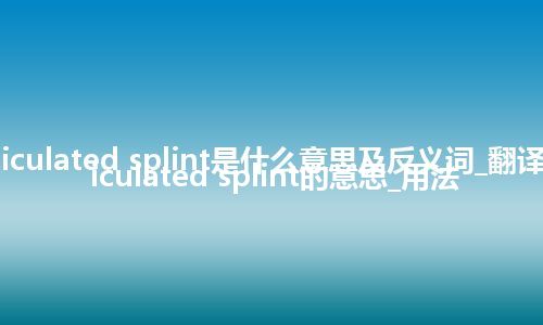 articulated splint是什么意思及反义词_翻译articulated splint的意思_用法