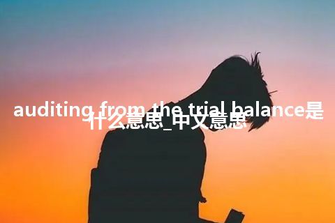 auditing from the trial balance是什么意思_中文意思