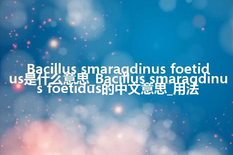 Bacillus smaragdinus foetidus是什么意思_Bacillus smaragdinus foetidus的中文意思_用法