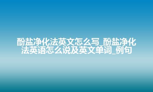 酚盐净化法英文怎么写_酚盐净化法英语怎么说及英文单词_例句