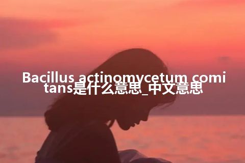 Bacillus actinomycetum comitans是什么意思_中文意思