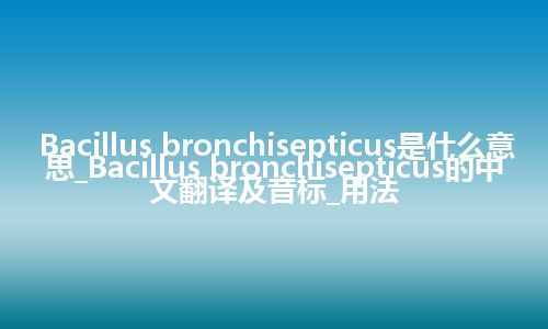 Bacillus bronchisepticus是什么意思_Bacillus bronchisepticus的中文翻译及音标_用法