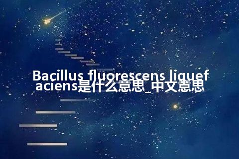 Bacillus fluorescens liquefaciens是什么意思_中文意思