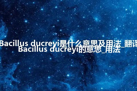 Bacillus ducreyi是什么意思及用法_翻译Bacillus ducreyi的意思_用法