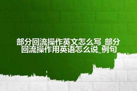 部分回流操作英文怎么写_部分回流操作用英语怎么说_例句