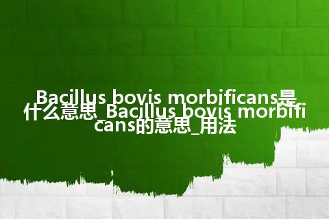 Bacillus bovis morbificans是什么意思_Bacillus bovis morbificans的意思_用法