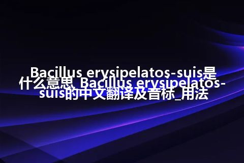 Bacillus erysipelatos-suis是什么意思_Bacillus erysipelatos-suis的中文翻译及音标_用法