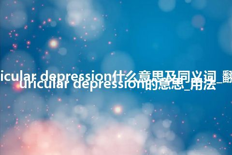 auricular depression什么意思及同义词_翻译auricular depression的意思_用法