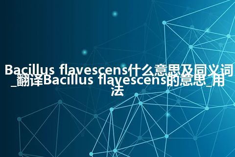 Bacillus flavescens什么意思及同义词_翻译Bacillus flavescens的意思_用法