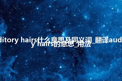 auditory hairs什么意思及同义词_翻译auditory hairs的意思_用法