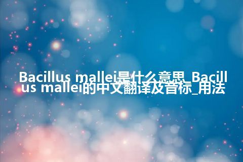 Bacillus mallei是什么意思_Bacillus mallei的中文翻译及音标_用法