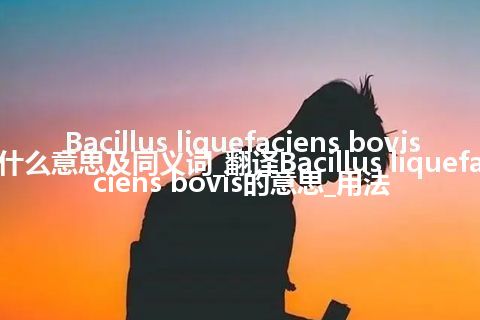 Bacillus liquefaciens bovis什么意思及同义词_翻译Bacillus liquefaciens bovis的意思_用法