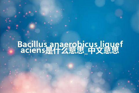 Bacillus anaerobicus liquefaciens是什么意思_中文意思