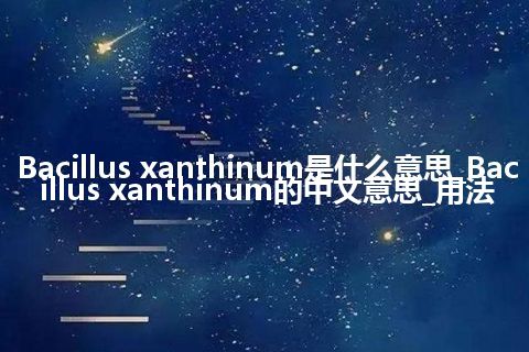 Bacillus xanthinum是什么意思_Bacillus xanthinum的中文意思_用法