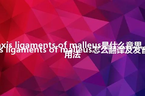 axis ligaments of malleus是什么意思_axis ligaments of malleus怎么翻译及发音_用法