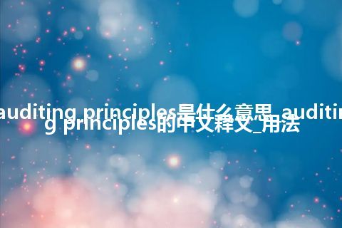 auditing principles是什么意思_auditing principles的中文释义_用法