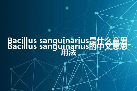 Bacillus sanguinarius是什么意思_Bacillus sanguinarius的中文意思_用法