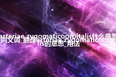 arteriae zygomaticoorbitalis什么意思及同义词_翻译arteriae zygomaticoorbitalis的意思_用法