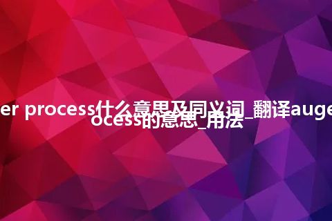 auger process什么意思及同义词_翻译auger process的意思_用法