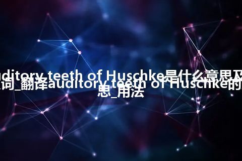 auditory teeth of Huschke是什么意思及反义词_翻译auditory teeth of Huschke的意思_用法