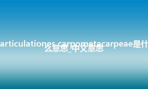 articulationes carpometacarpeae是什么意思_中文意思