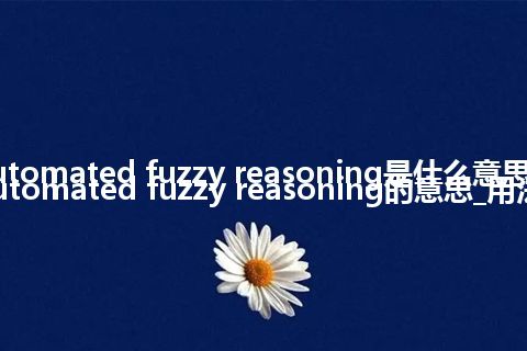 automated fuzzy reasoning是什么意思_automated fuzzy reasoning的意思_用法