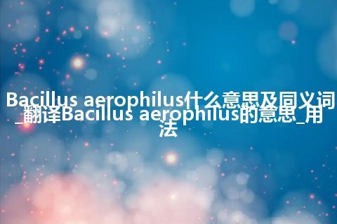 Bacillus aerophilus什么意思及同义词_翻译Bacillus aerophilus的意思_用法