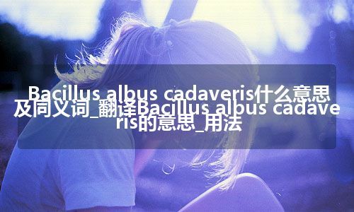 Bacillus albus cadaveris什么意思及同义词_翻译Bacillus albus cadaveris的意思_用法