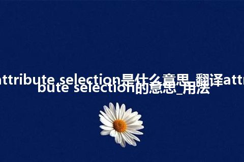 attribute selection是什么意思_翻译attribute selection的意思_用法