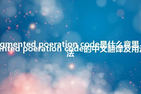 augmented poeration code是什么意思_augmented poeration code的中文翻译及用法_用法