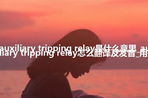 auxiliary tripping relay是什么意思_auxiliary tripping relay怎么翻译及发音_用法