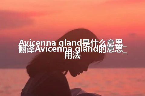 Avicenna gland是什么意思_翻译Avicenna gland的意思_用法