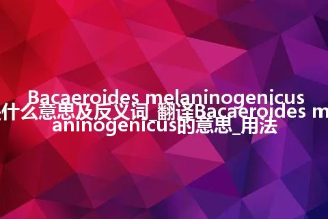 Bacaeroides melaninogenicus是什么意思及反义词_翻译Bacaeroides melaninogenicus的意思_用法