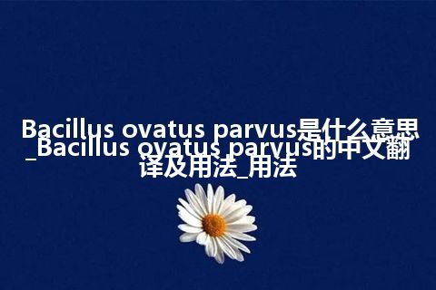 Bacillus ovatus parvus是什么意思_Bacillus ovatus parvus的中文翻译及用法_用法