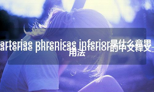 arteriae phrenicae inferior是什么意思_arteriae phrenicae inferior的中文释义_用法