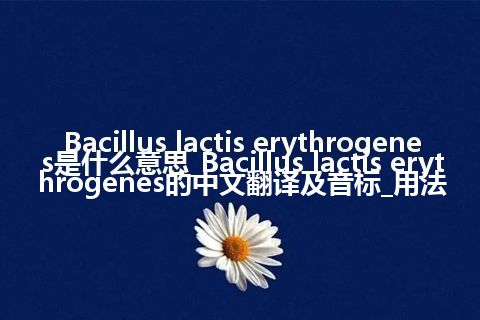 Bacillus lactis erythrogenes是什么意思_Bacillus lactis erythrogenes的中文翻译及音标_用法