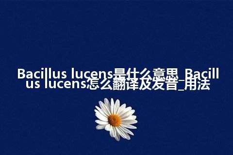 Bacillus lucens是什么意思_Bacillus lucens怎么翻译及发音_用法