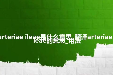 arteriae ileae是什么意思_翻译arteriae ileae的意思_用法